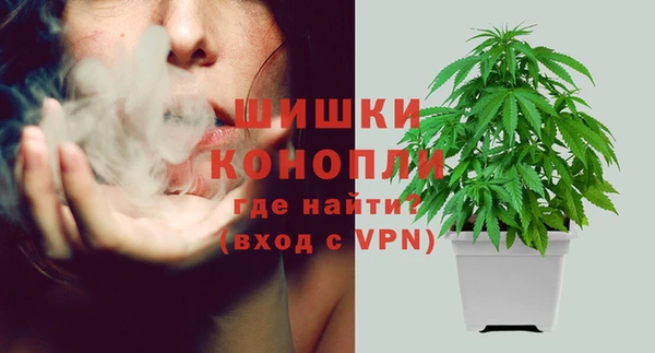 гидропоника Бронницы