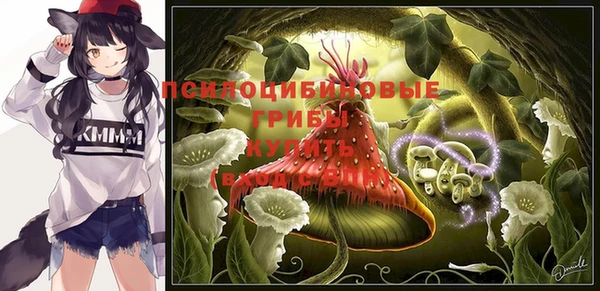 гидропоника Бронницы