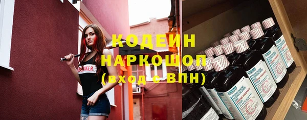 apvp Бородино