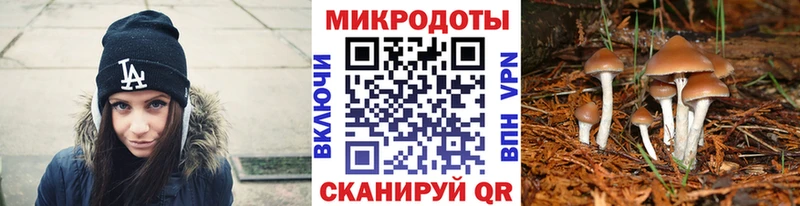Галлюциногенные грибы Psilocybine cubensis  купить наркотик  Сосногорск 