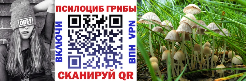Галлюциногенные грибы прущие грибы Сосногорск